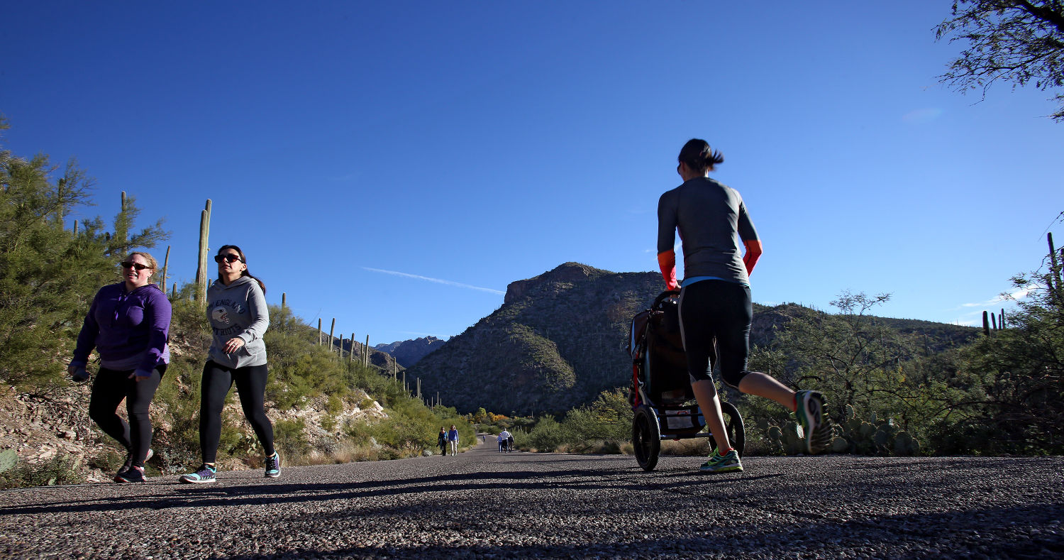 Hiking Sabino